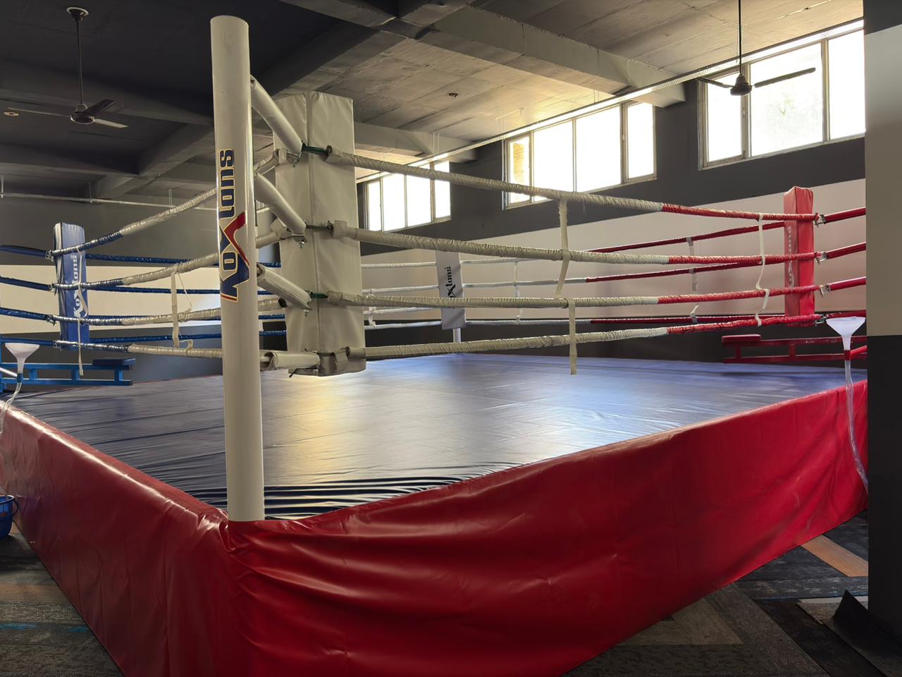 Boxing Ring